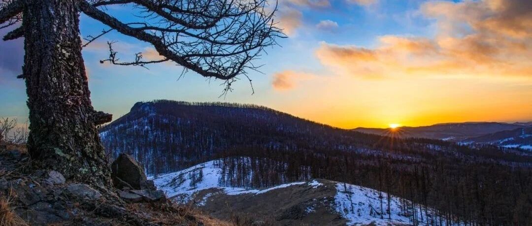 中国人民银行 市场监管总局 银保监会 证监会印发《金融标准化“十四五”发展规划》