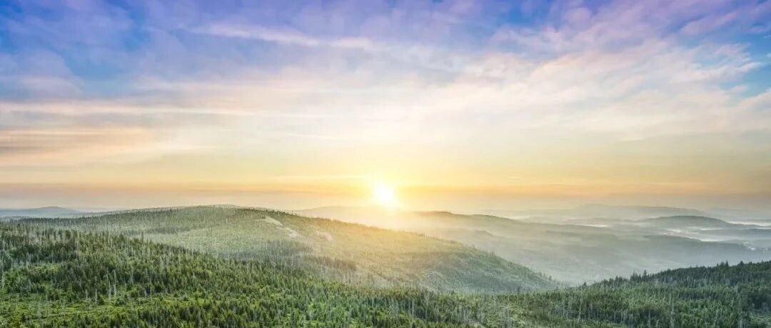 中国经济稳中求进，有这些有利条件