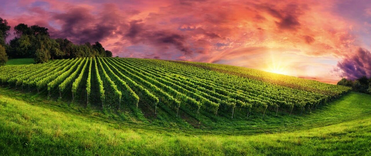 加快产业转型升级平台建设 助力实现经济高质量发展