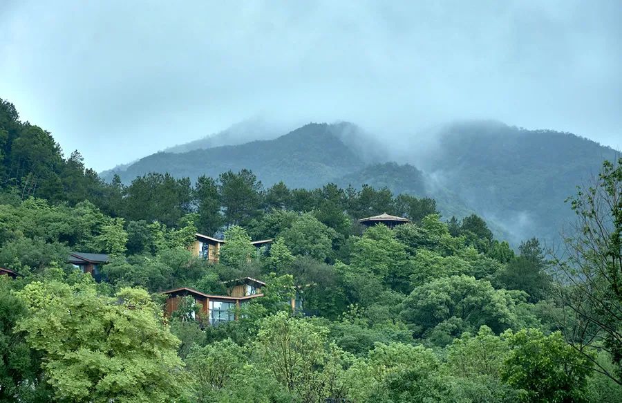 浠水民宿,任君選擇_湖北省黃岡市浠水縣三角山林場黃溪衝村-村網通