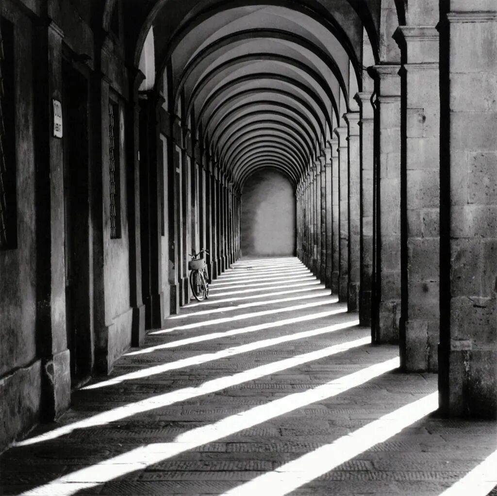 ��������ǿ�ƹ��䣬�����������о�����߼�˼��