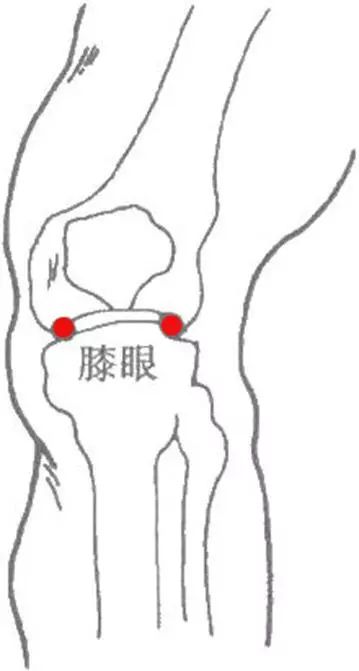 膝眼穴