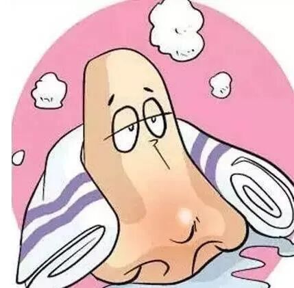 鼻炎的分类及症状详解