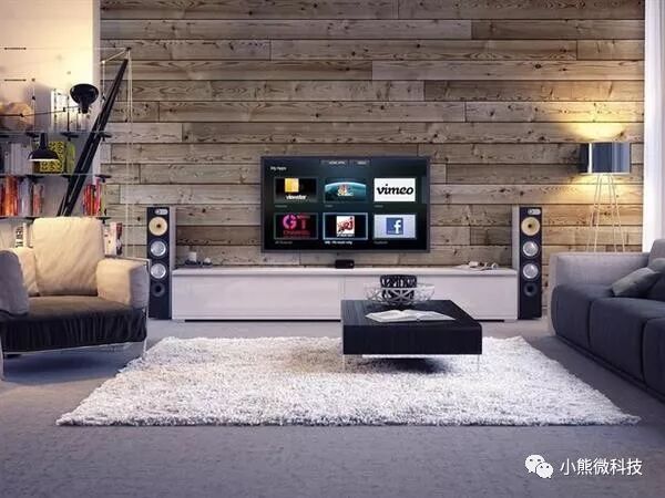 可以当显示器的电视机