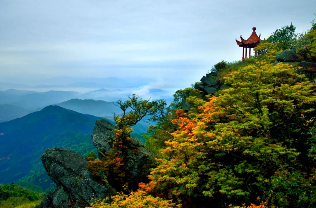 百县百日文旅消费季丨崇义县分会场重磅上堡梯田景区阳明山景区对所有