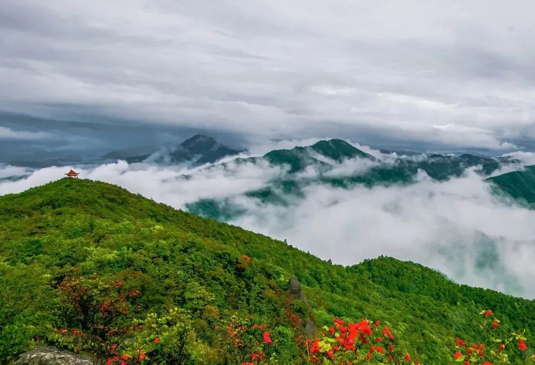 崇义旅游景点大全排名图片