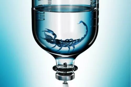 商务听力 Why Scorpion Venom Is So Expensive 英文巴士 微信公众号文章阅读 Wemp