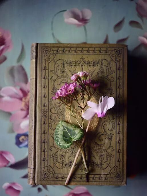 花艺其实很简单｜8款速成花艺，赶快学起来！