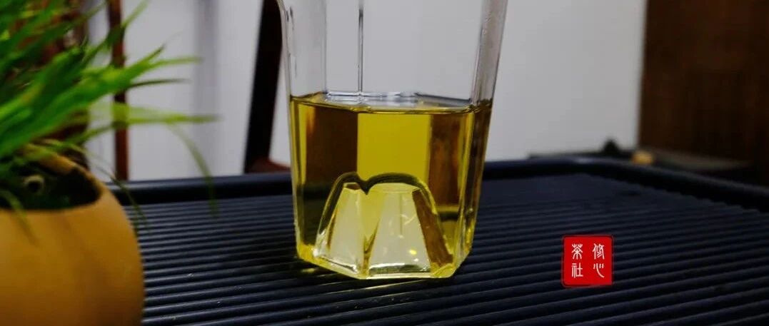 为什么喝白茶对身体好处这么多？