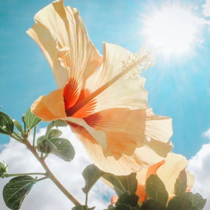 成大事者，不可无“性”（经典！）