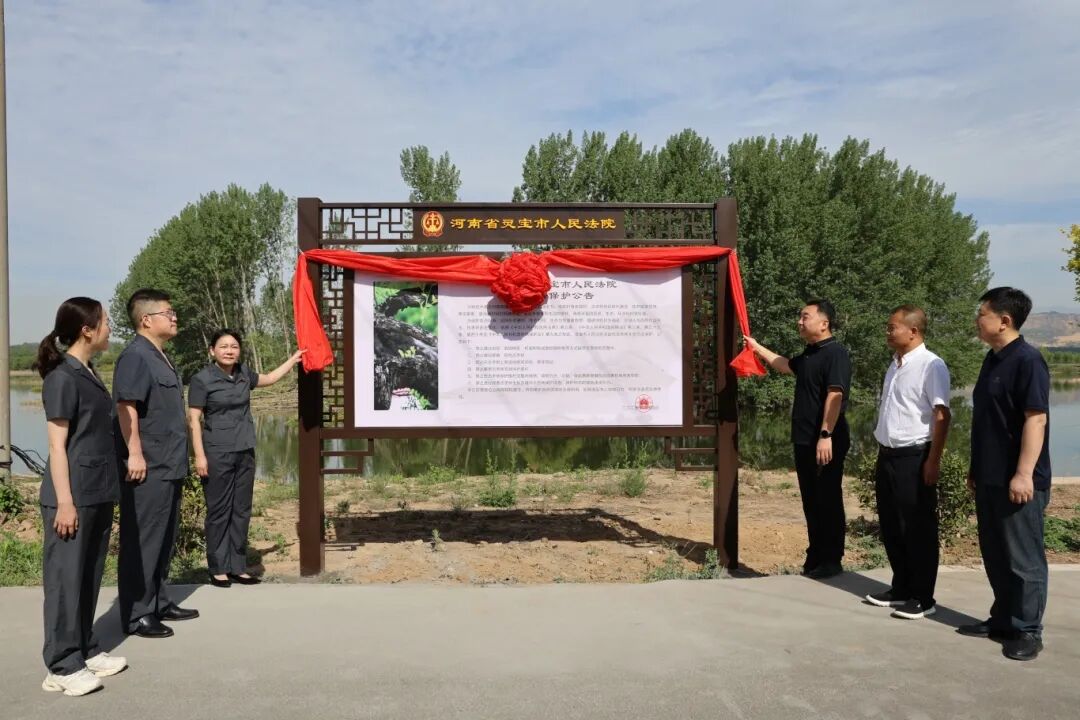 河南灵宝：美丽中国我先行 法治刚性守枣林