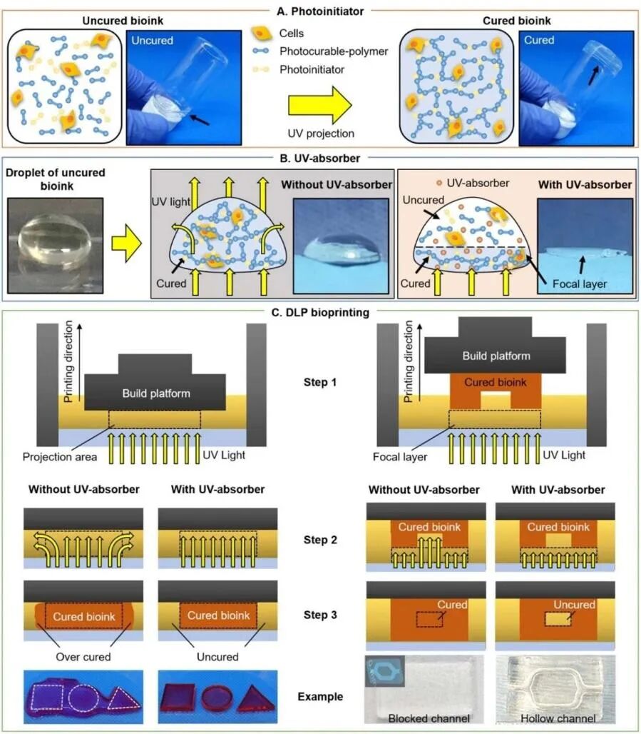 明胶在血管怎么降解【专题集锦】生物3D打印墨水设计及应用研究（20211124更新）_https://www.jmylbn.com_新闻资讯_第70张