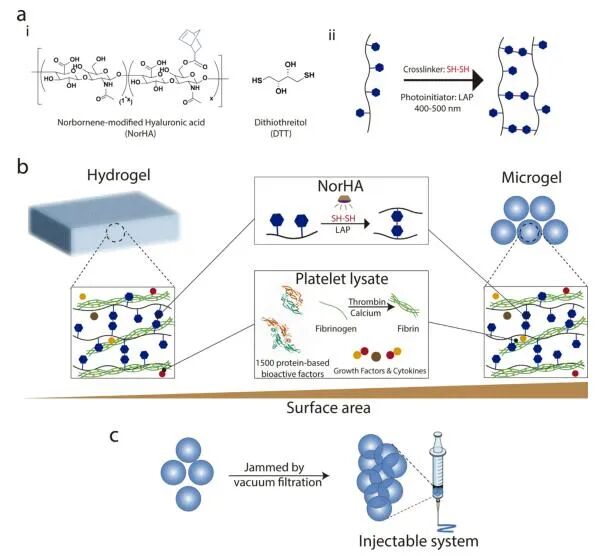 明胶在血管怎么降解【专题集锦】生物3D打印墨水设计及应用研究（20211124更新）_https://www.jmylbn.com_新闻资讯_第82张