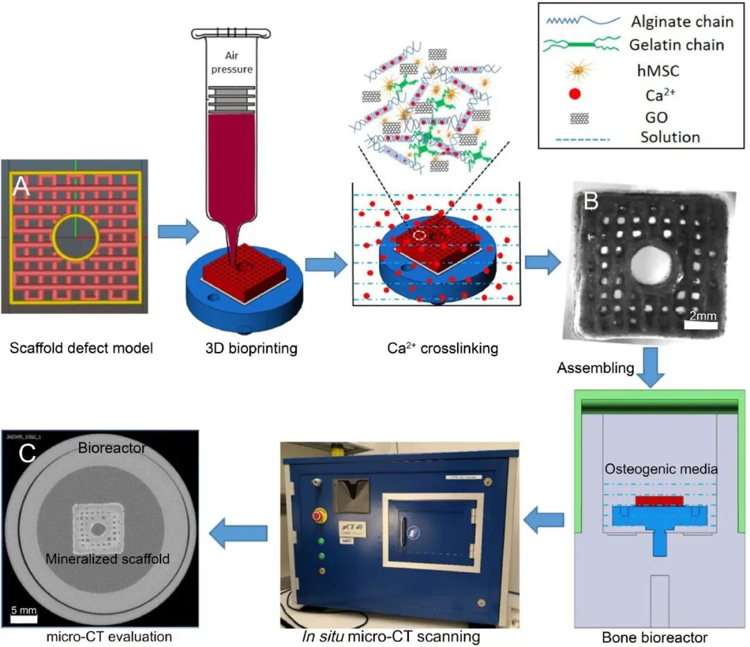 明胶在血管怎么降解【专题集锦】生物3D打印墨水设计及应用研究（20211124更新）_https://www.jmylbn.com_新闻资讯_第98张