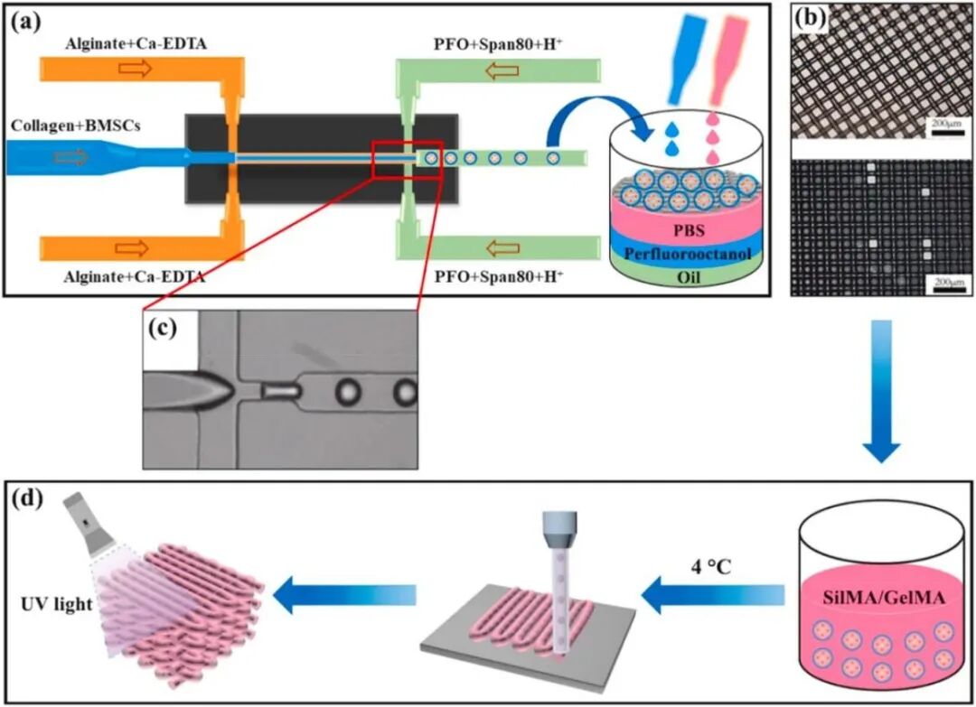 明胶在血管怎么降解【专题集锦】生物3D打印墨水设计及应用研究（20211124更新）_https://www.jmylbn.com_新闻资讯_第90张