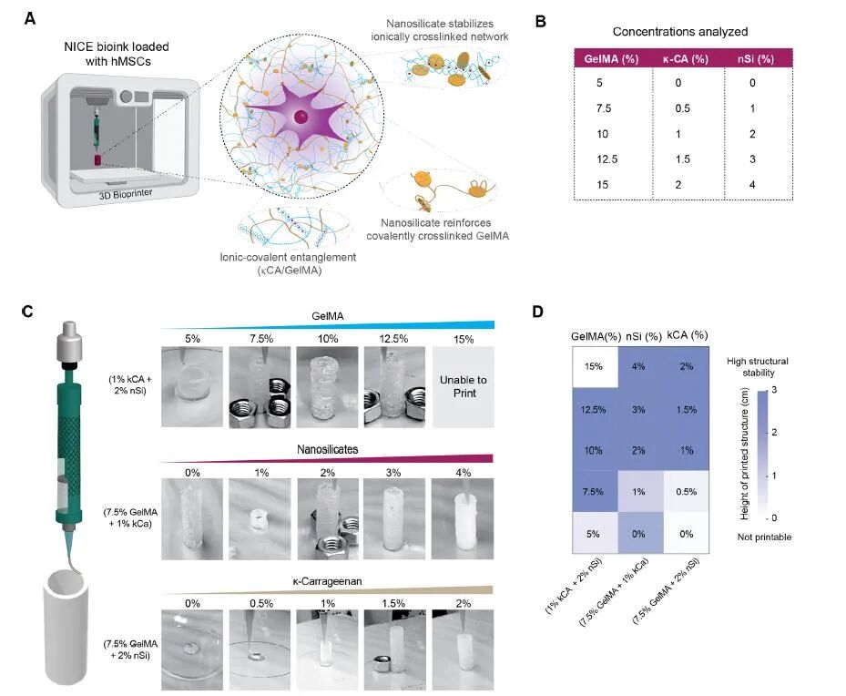 明胶在血管怎么降解【专题集锦】生物3D打印墨水设计及应用研究（20211124更新）_https://www.jmylbn.com_新闻资讯_第74张