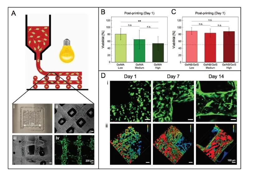 明胶在血管怎么降解【专题集锦】生物3D打印墨水设计及应用研究（20211124更新）_https://www.jmylbn.com_新闻资讯_第68张