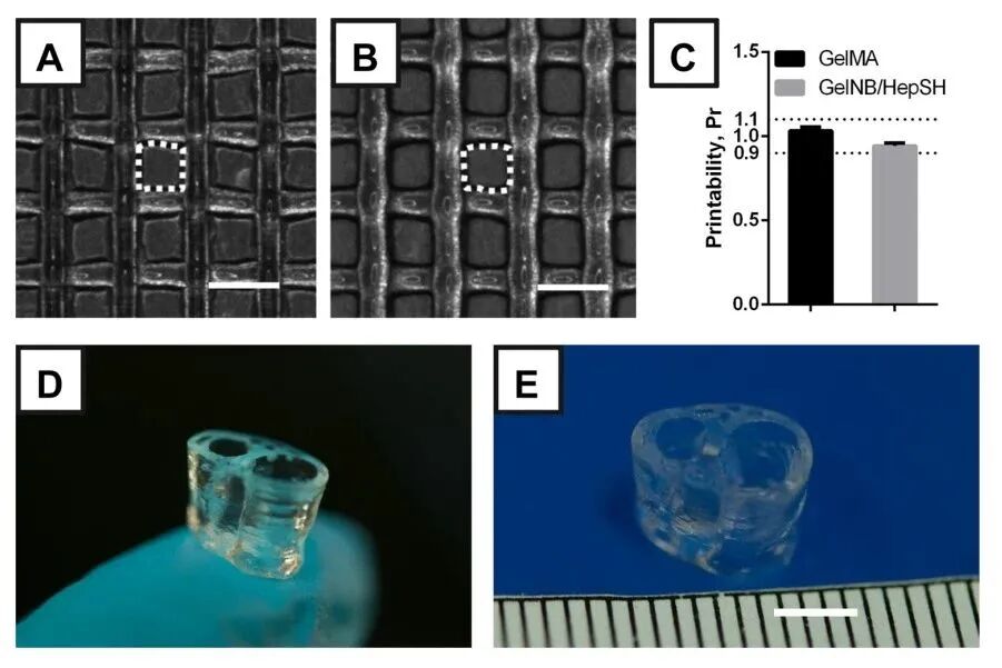 明胶在血管怎么降解【专题集锦】生物3D打印墨水设计及应用研究（20211124更新）_https://www.jmylbn.com_新闻资讯_第80张