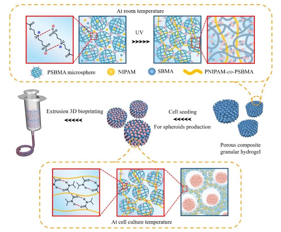 明胶在血管怎么降解【专题集锦】生物3D打印墨水设计及应用研究（20211124更新）_https://www.jmylbn.com_新闻资讯_第86张