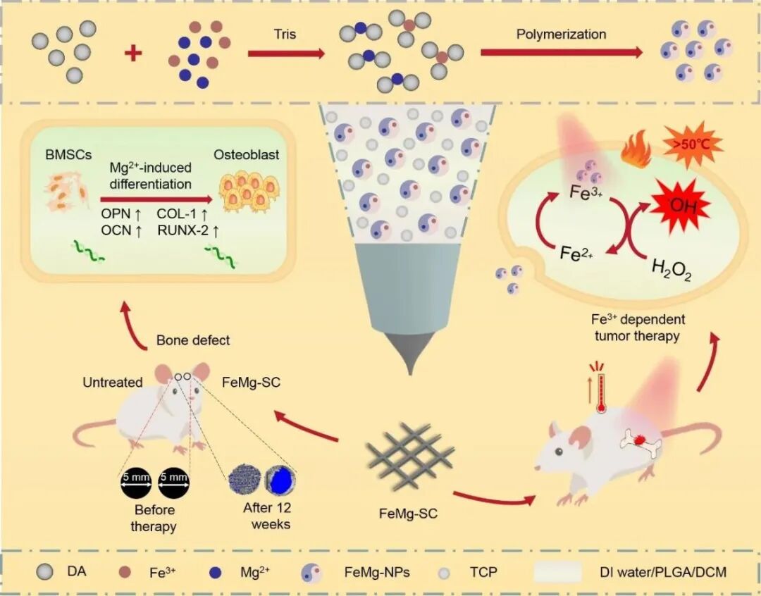 明胶在血管怎么降解【专题集锦】生物3D打印墨水设计及应用研究（20211124更新）_https://www.jmylbn.com_新闻资讯_第76张