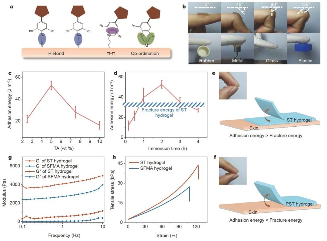 怎么撕敷料啊《Science China Materials》：用于伤口修复的无二次损伤的保水可撕断粘附水凝胶_https://www.jmylbn.com_新闻资讯_第4张