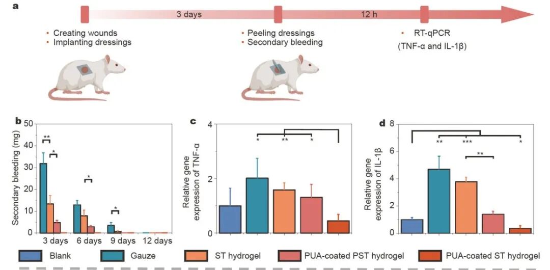 怎么撕敷料啊《Science China Materials》：用于伤口修复的无二次损伤的保水可撕断粘附水凝胶_https://www.jmylbn.com_新闻资讯_第10张