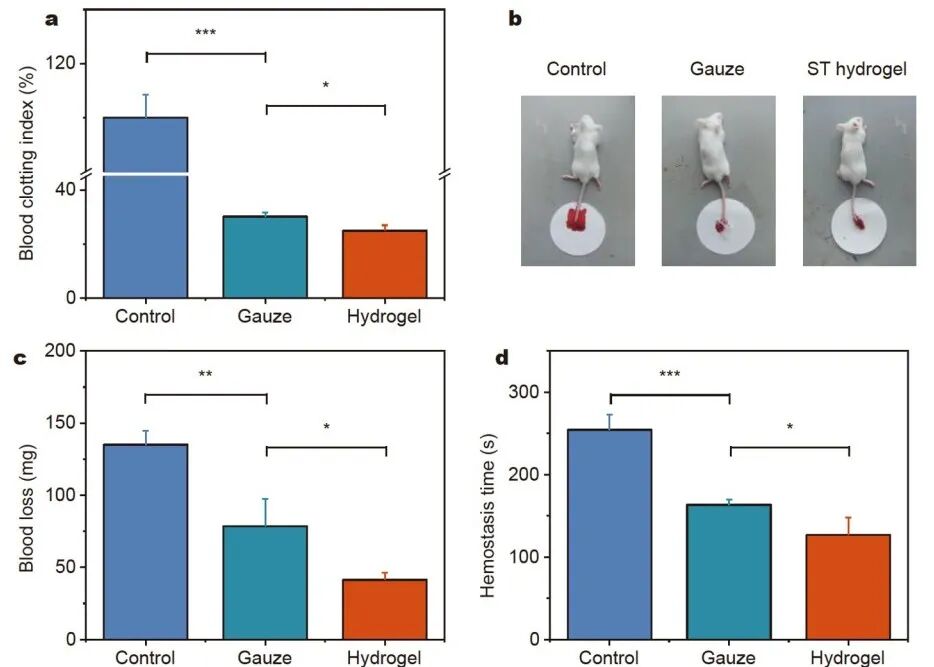 怎么撕敷料啊《Science China Materials》：用于伤口修复的无二次损伤的保水可撕断粘附水凝胶_https://www.jmylbn.com_新闻资讯_第6张