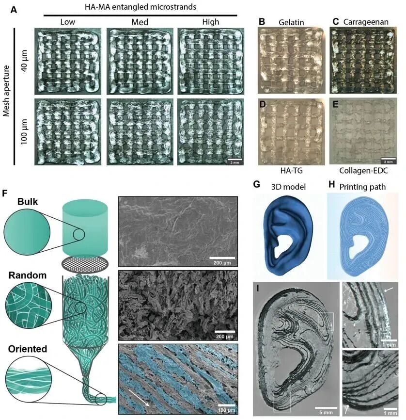 明胶在血管怎么降解【专题集锦】生物3D打印墨水设计及应用研究（20211124更新）_https://www.jmylbn.com_新闻资讯_第56张