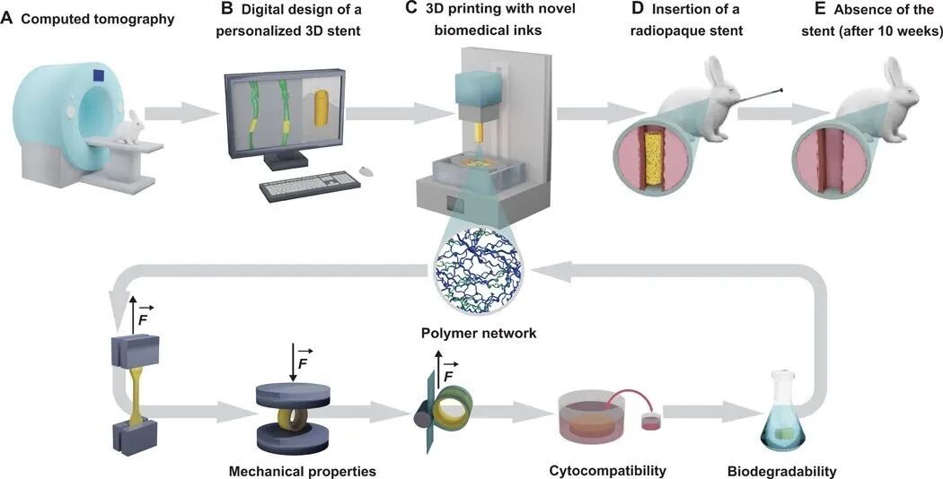 明胶在血管怎么降解【专题集锦】生物3D打印墨水设计及应用研究（20211124更新）_https://www.jmylbn.com_新闻资讯_第62张