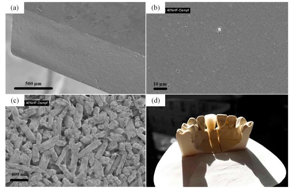 明胶在血管怎么降解【专题集锦】生物3D打印墨水设计及应用研究（20211124更新）_https://www.jmylbn.com_新闻资讯_第66张