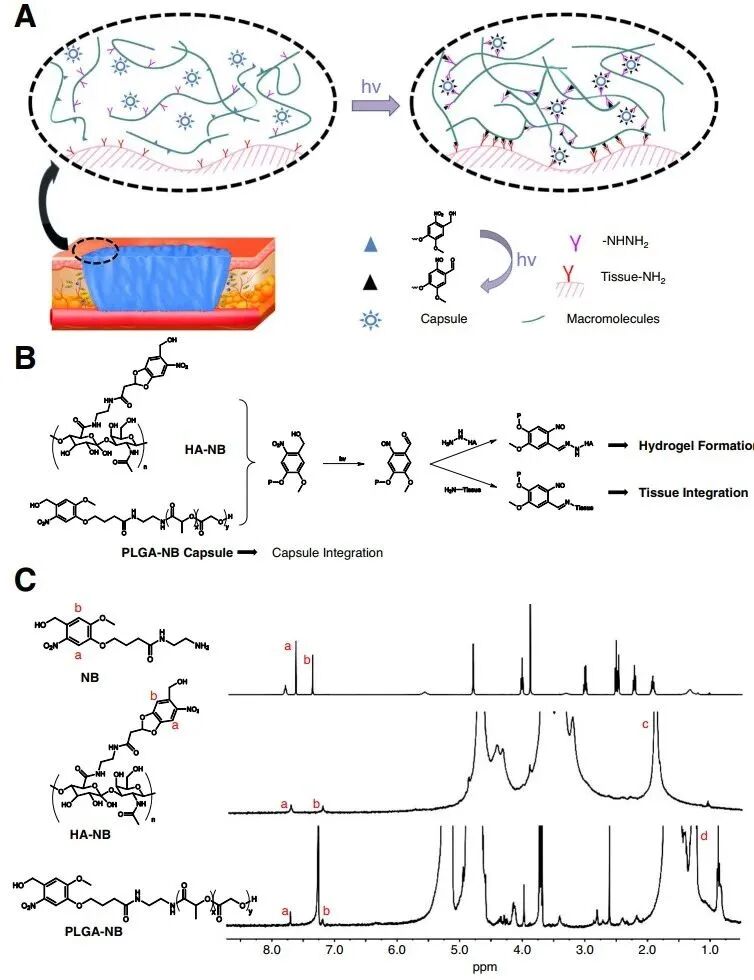 水凝胶伤口敷料怎么用【专题集锦】组织粘附与伤口敷料（20210803更新）_https://www.jmylbn.com_新闻资讯_第6张