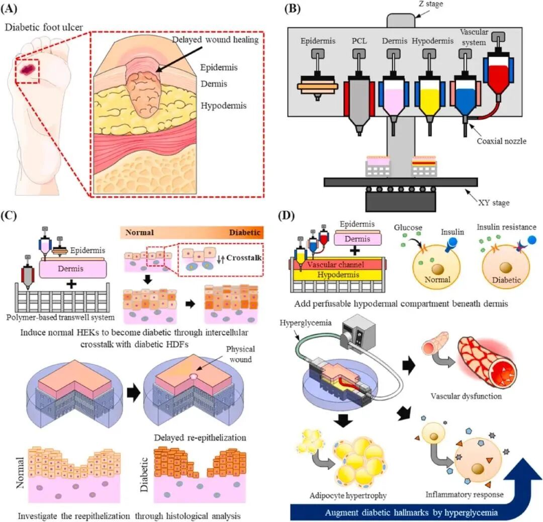 水凝胶伤口敷料怎么用【专题集锦】组织粘附与伤口敷料（20210803更新）_https://www.jmylbn.com_新闻资讯_第10张