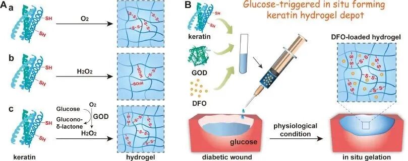 水凝胶伤口敷料怎么用【专题集锦】组织粘附与伤口敷料（20210803更新）_https://www.jmylbn.com_新闻资讯_第2张