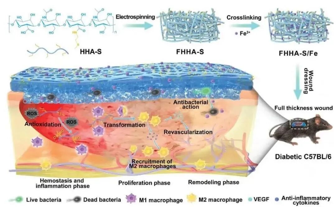 水凝胶伤口敷料怎么用【专题集锦】组织粘附与伤口敷料（20210803更新）_https://www.jmylbn.com_新闻资讯_第8张