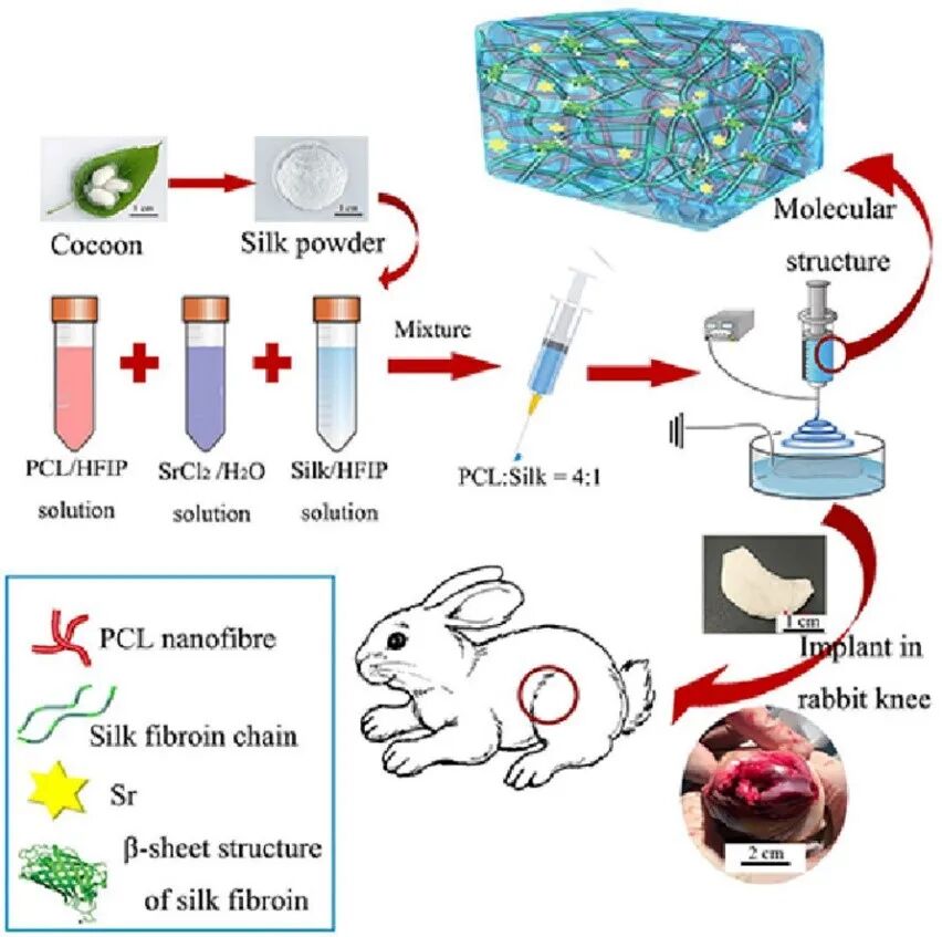 医用诱导骨基质是什么【专题集锦】软骨再生（20230111更新）_https://www.jmylbn.com_新闻资讯_第4张