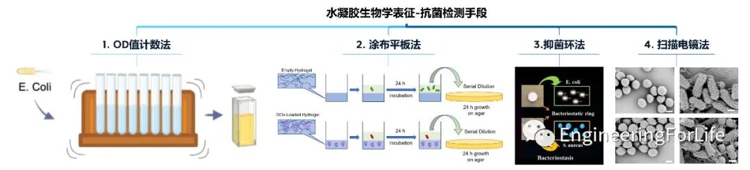 有哪些抗菌凝胶科学普及 ｜ 如何表征水凝胶的抗菌性能？有哪些检测手段？_https://www.jmylbn.com_新闻资讯_第1张