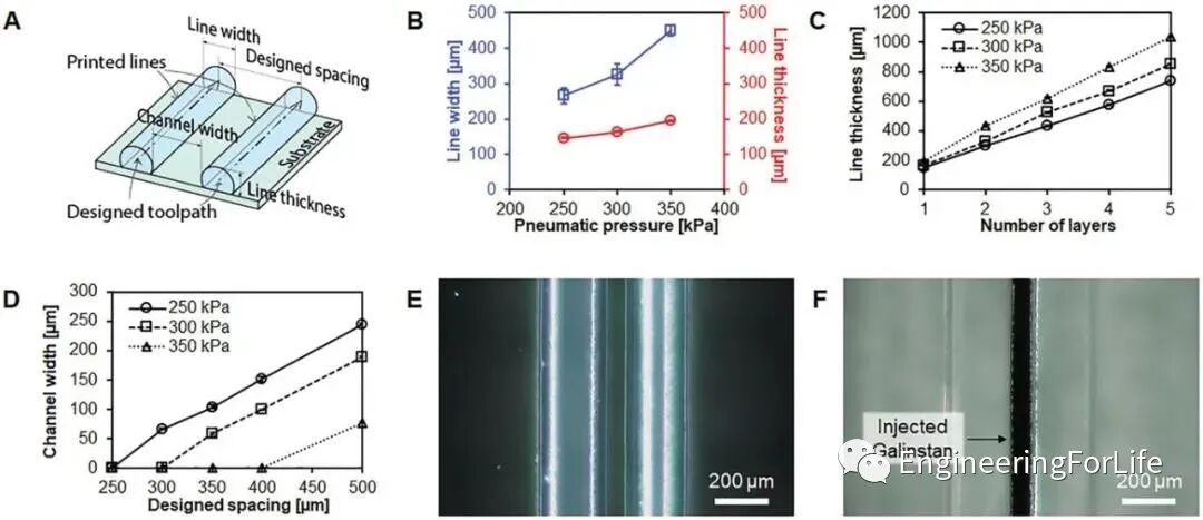 明胶在血管怎么降解【专题集锦】组织粘附与伤口敷料（20221002更新）_https://www.jmylbn.com_新闻资讯_第16张