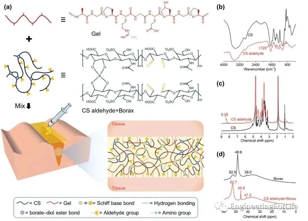 明胶在血管怎么降解【专题集锦】组织粘附与伤口敷料（20221002更新）_https://www.jmylbn.com_新闻资讯_第30张