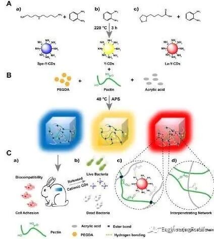 明胶在血管怎么降解【专题集锦】组织粘附与伤口敷料（20221002更新）_https://www.jmylbn.com_新闻资讯_第46张