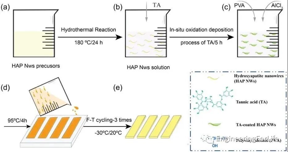 明胶在血管怎么降解【专题集锦】组织粘附与伤口敷料（20221002更新）_https://www.jmylbn.com_新闻资讯_第14张