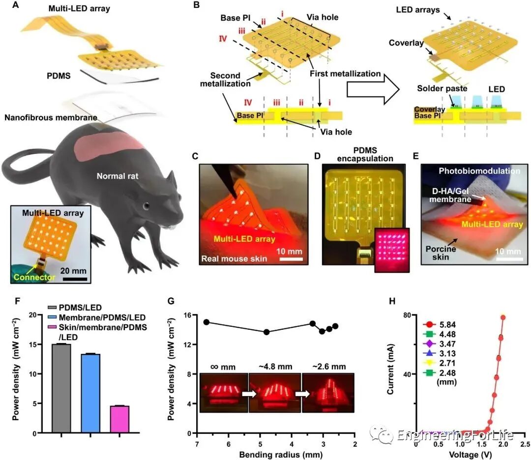 明胶在血管怎么降解【专题集锦】组织粘附与伤口敷料（20221002更新）_https://www.jmylbn.com_新闻资讯_第84张
