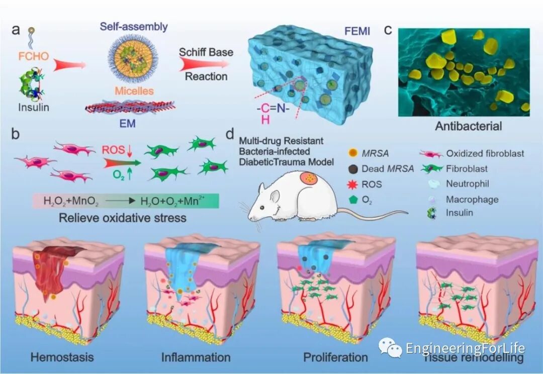 明胶在血管怎么降解【专题集锦】组织粘附与伤口敷料（20221002更新）_https://www.jmylbn.com_新闻资讯_第42张