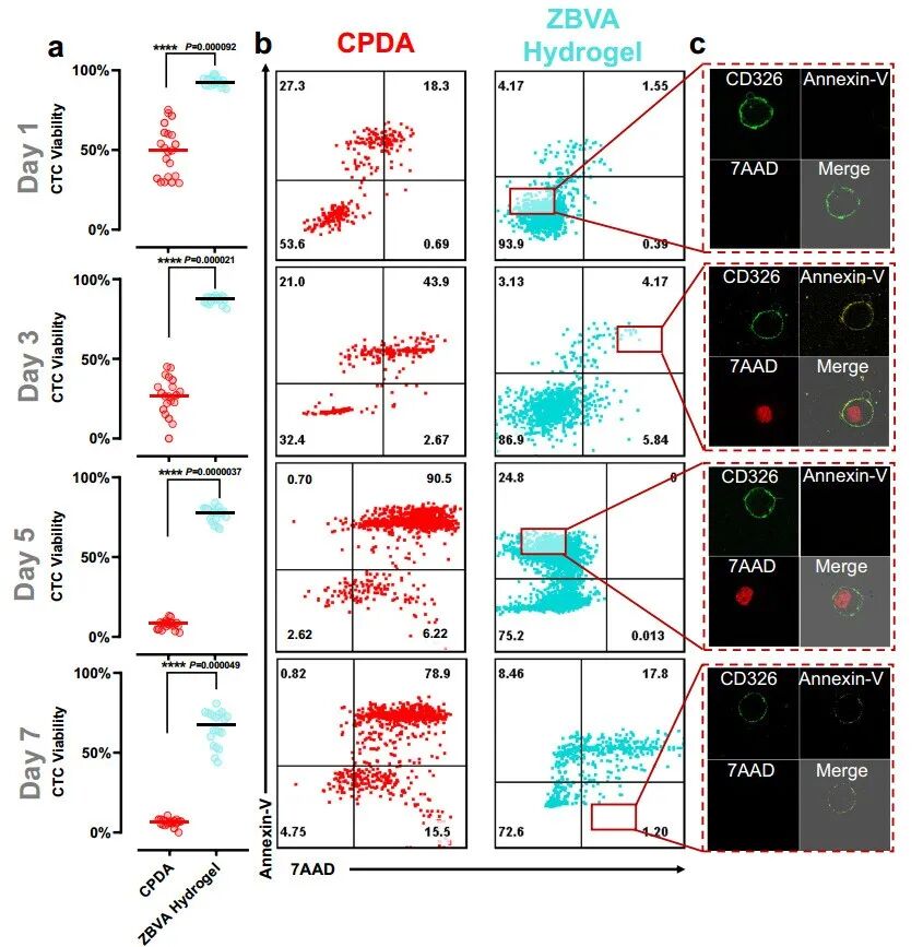 水凝胶怎么保存《Nat. Comm.》：微凝胶，延长全血近无损保存达7天!_https://www.jmylbn.com_新闻资讯_第6张