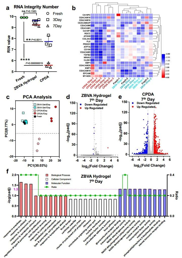 水凝胶怎么保存《Nat. Comm.》：微凝胶，延长全血近无损保存达7天!_https://www.jmylbn.com_新闻资讯_第7张