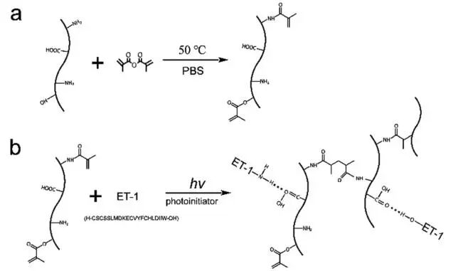 创面修复抗菌敷料怎么用创面修复中GelMA的应用_https://www.jmylbn.com_新闻资讯_第6张