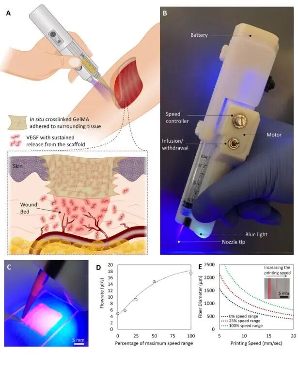 创面修复抗菌敷料怎么用创面修复中GelMA的应用_https://www.jmylbn.com_新闻资讯_第11张