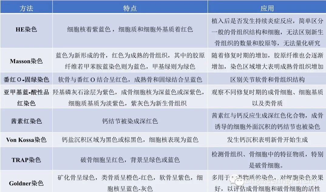 图片6表格.png