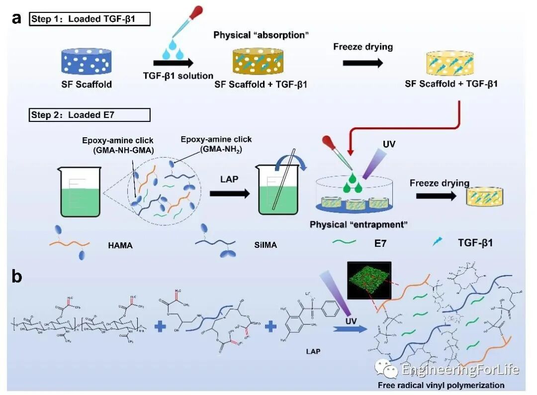 医用诱导骨基质是什么【专题集锦】软骨再生（20230111更新）_https://www.jmylbn.com_新闻资讯_第80张
