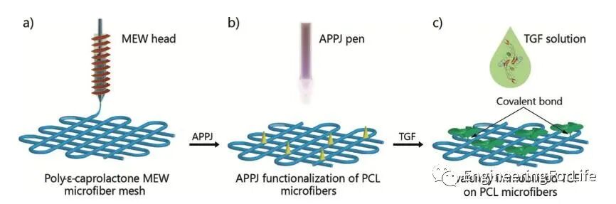 医用诱导骨基质是什么【专题集锦】软骨再生（20230111更新）_https://www.jmylbn.com_新闻资讯_第74张