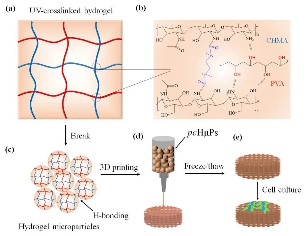 明胶在血管怎么降解【专题集锦】生物3D打印墨水设计及应用研究（20211124更新）_https://www.jmylbn.com_新闻资讯_第26张